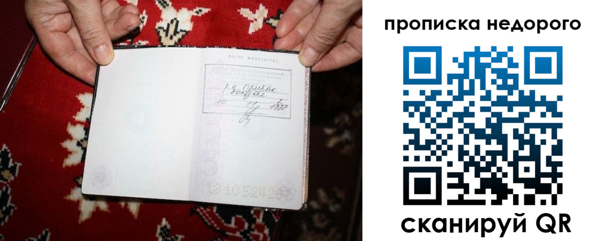 прописка гарантия в Коммунаре